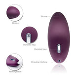 SVAKOM Echo Clitoral Vibrator USB Charge, 4 colors
