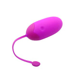 Egg Wireless Vibrator with Bluetooth, Smartphone App - Free Shipping